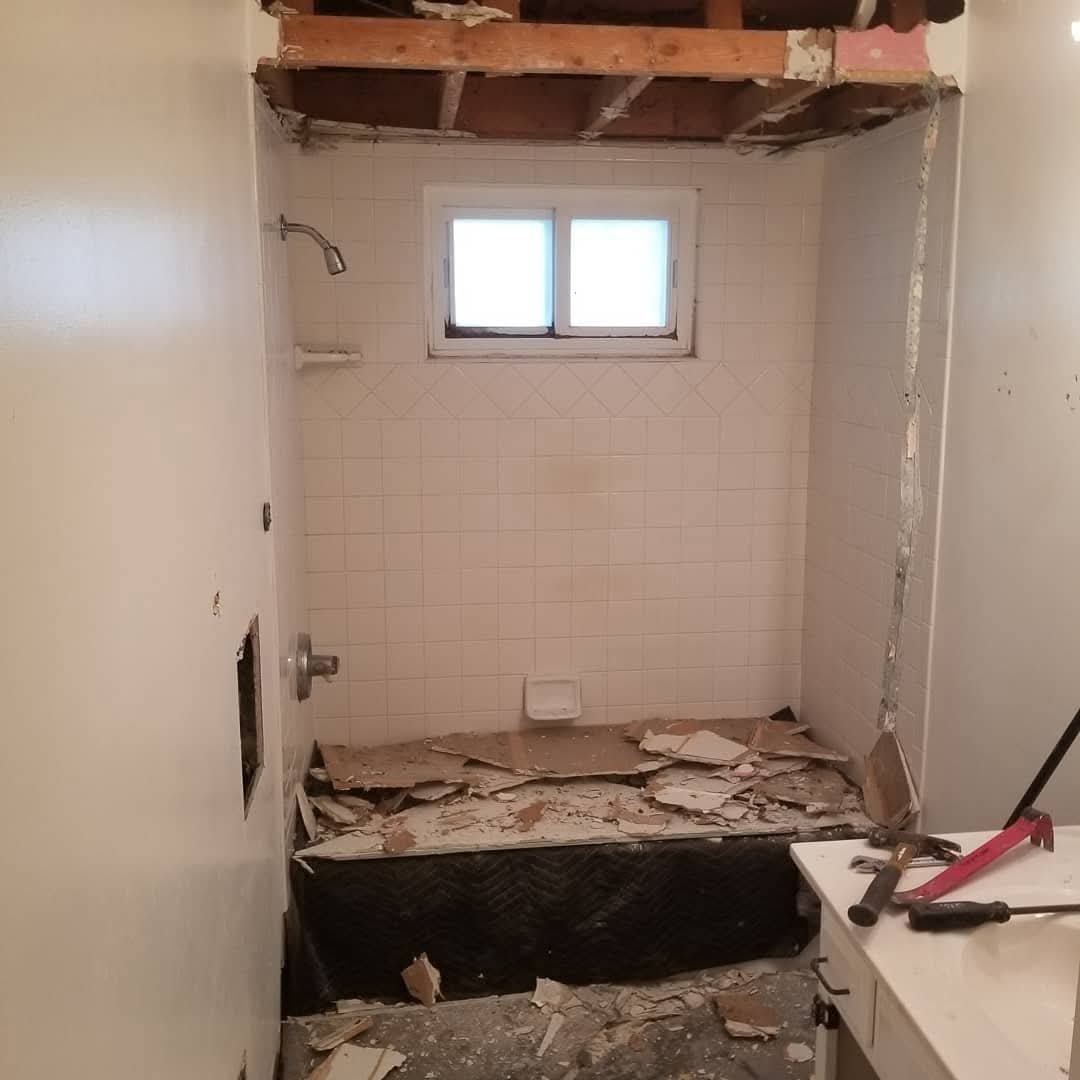 Bathroom gutted down to studs during demo